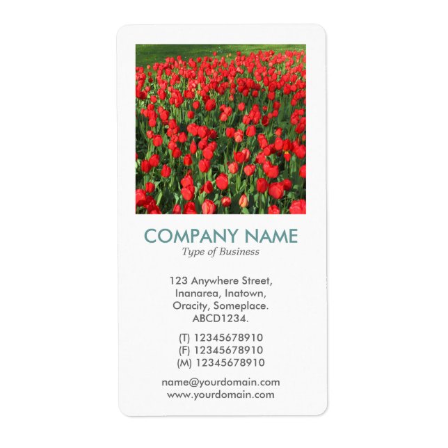 V Square Photo - Bed of Red Tulips 02 (Front)