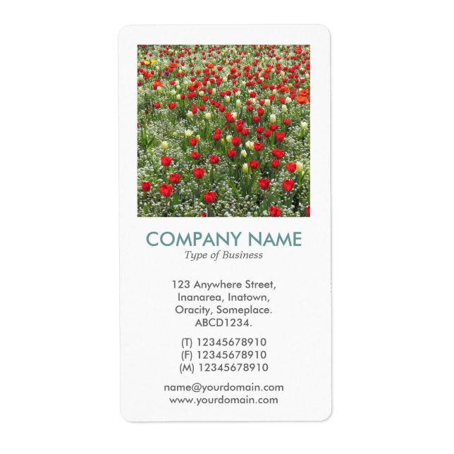 V Square Photo - Bed of Tulips (Front)