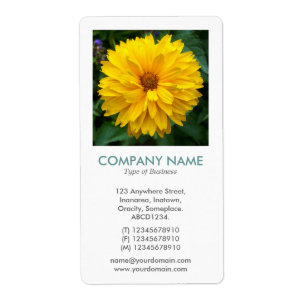 V Square Photo - Chrysanthemum