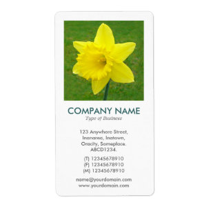 V Square Photo - Daffodil