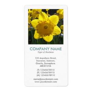 V Square Photo - Daffodil
