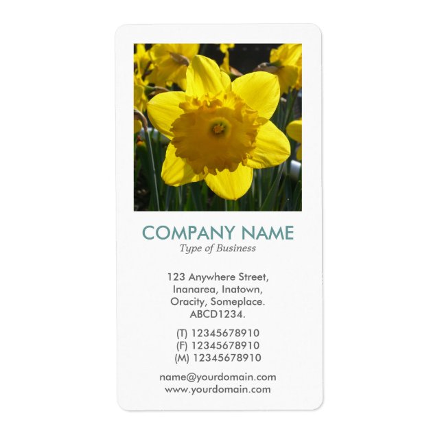 V Square Photo - Daffodil (Front)