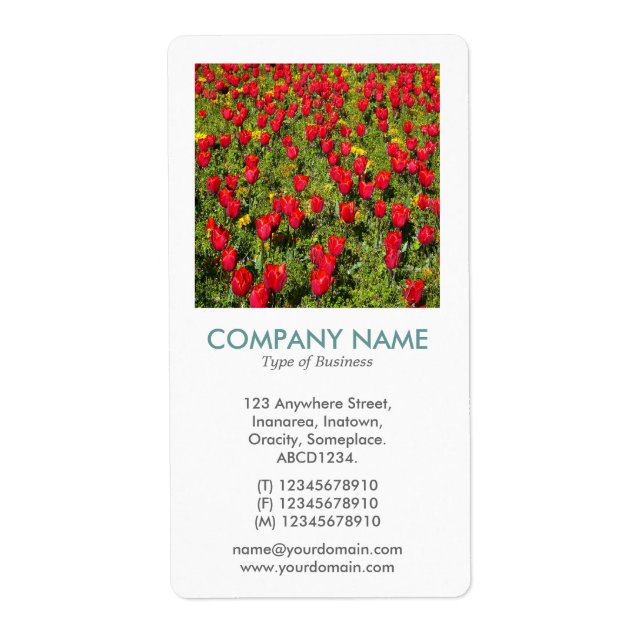V Square Photo - Red Tulips (Front)