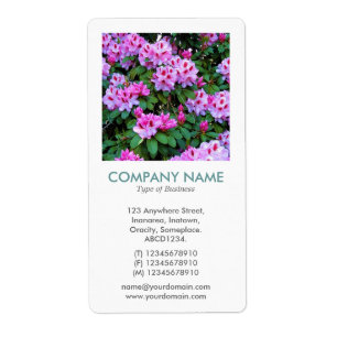 V Square Photo - Rhododendrons