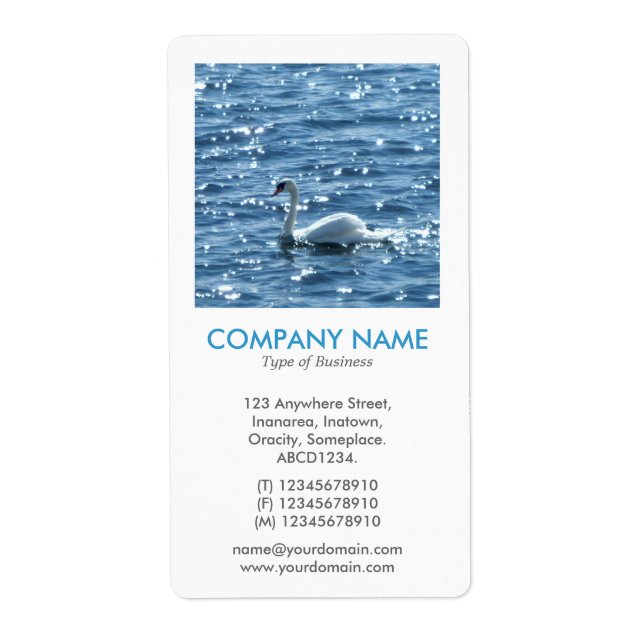 V Square Photo - Swan (Front)