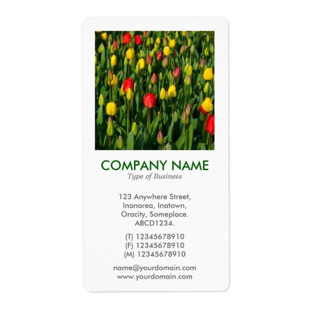 V Square Photo - Tulips (Front)