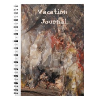 Vacation Journal Petrified Wood w Quartz