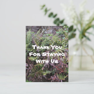 Vacation Rental Cabin Ferns Thank You Guest Postcard