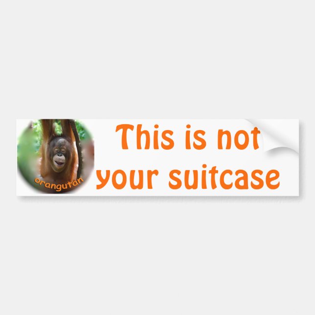 Vacation Suitcase Identification Tags Bumper Sticker (Front)