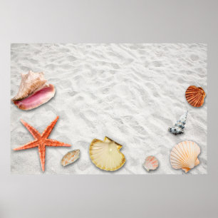 Vacations beach summer sun poster