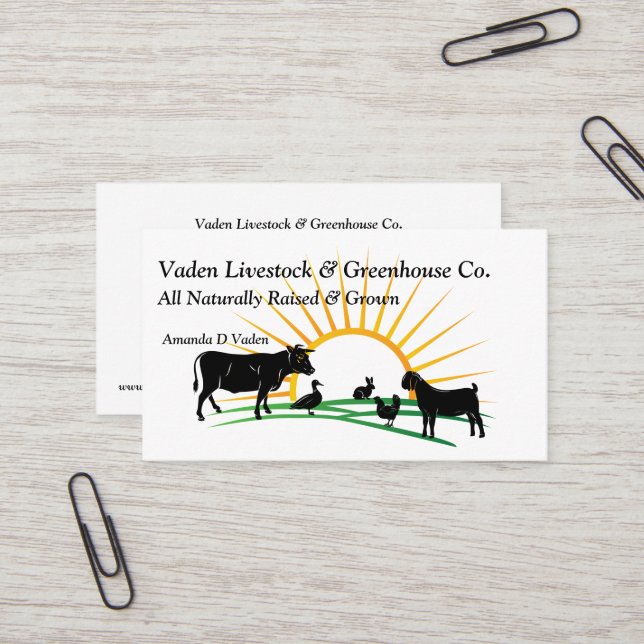 Vaden Livestock Business Card (Front/Back In Situ)