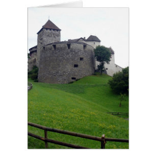 vaduz castle grass