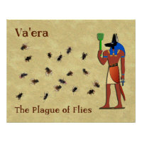 Va'era - The Plague Of Flies