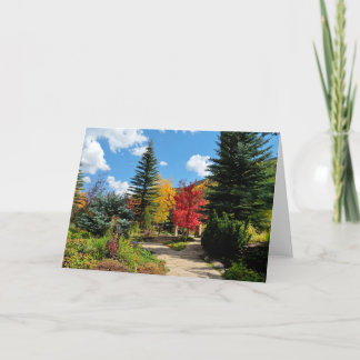 Vail Autumn Card