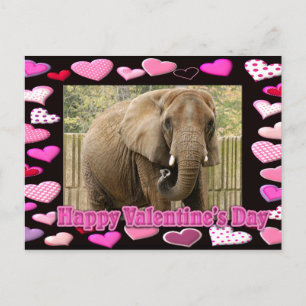 val-elephant-00045-6x4 postcard