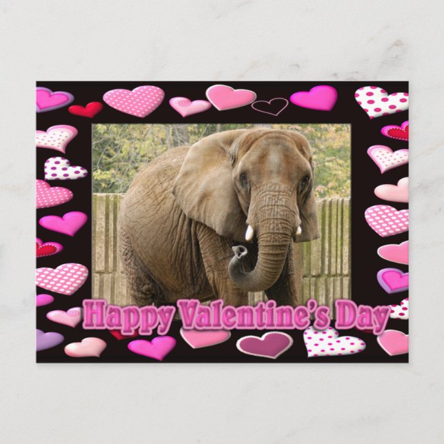 val-elephant-00045-6x4 postcard (Front)