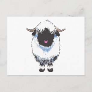 Valais Black Nose Sheep Postcard