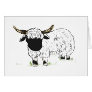 Valais blacknose sheep