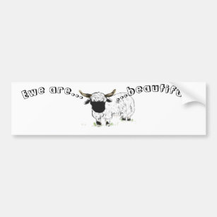 Valais Blacknose Sheep - Ewe are beautiful! Bumper Sticker