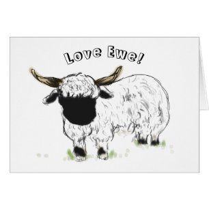 Valais blacknose sheep - Love Ewe!