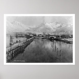 Valdez, Alaska Birdseye 1905 Poster