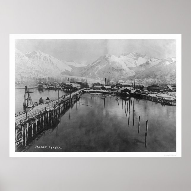 Valdez, Alaska Birdseye 1905 Poster (Front)