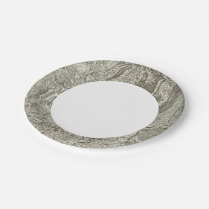 Valence Paper Plate