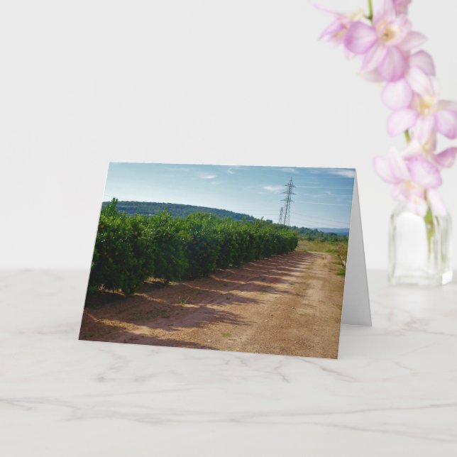 Valencia Orange Grove Landscape Card (Orchid)