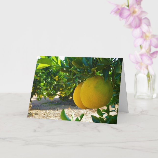 Valencia Orange Grove Portrait Card (Orchid)