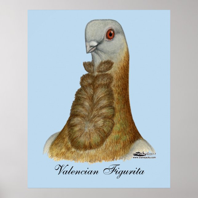 Valencian Figurita Pigeon Portrait Poster (Front)