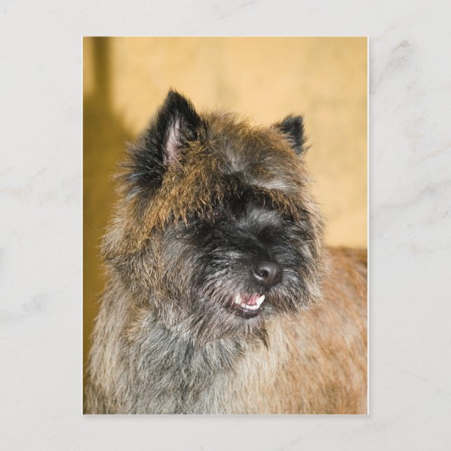 Valentin postcard (Front)