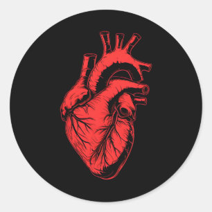 Valentine Anatomical Heart Red Cardiology Cardiac Classic Round Sticker