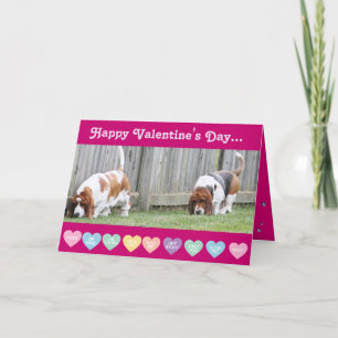 Valentine - Bassets on Funny Valentine's Day Card