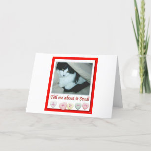 Valentine Black and White Cat Holiday Card