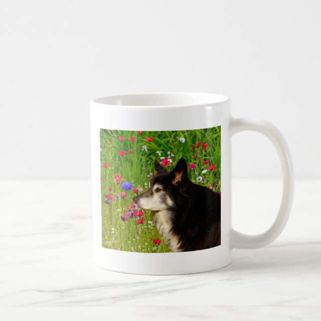 Valentine Border Collie with beautiful flowers Coffee Mug (Right)