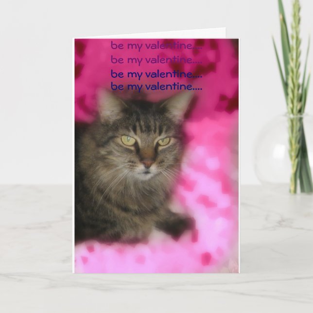 valentine cat holiday card (Front)