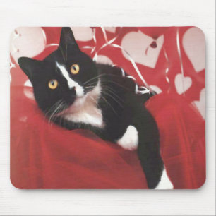 Valentine Cat Mousepad