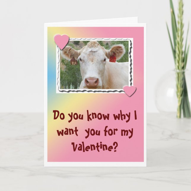 Valentine Cow-Greeting Card (Front)