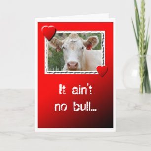 Valentine Cow Holiday Card
