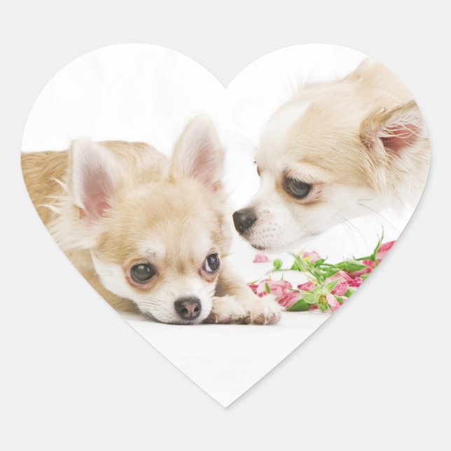 Valentine Dog Stickers (Front)