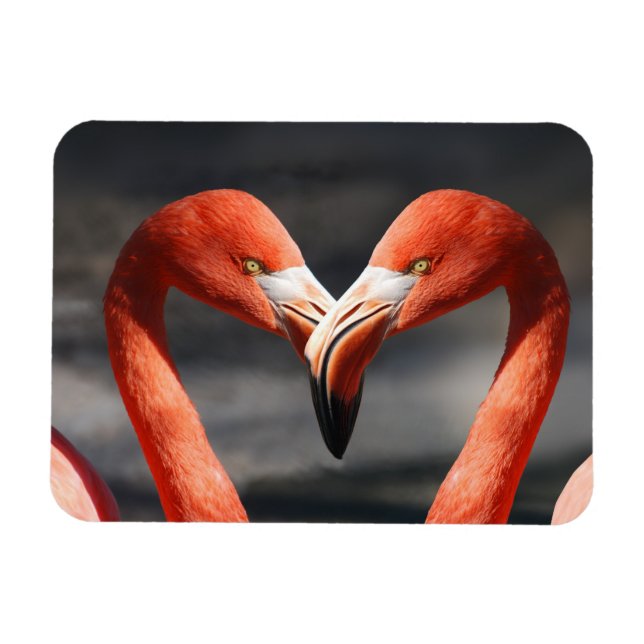 Valentine Flamingo Magnet (Horizontal)