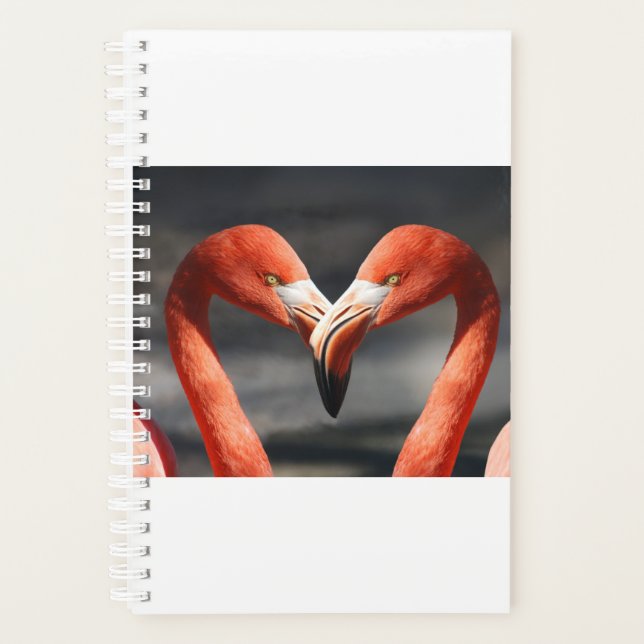 Valentine Flamingo Planner (Front)