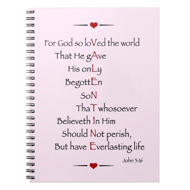 VALENTINE - For God So Loved the World Notebook (Front)