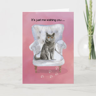 Valentine from Cat Sitting on Chair Card