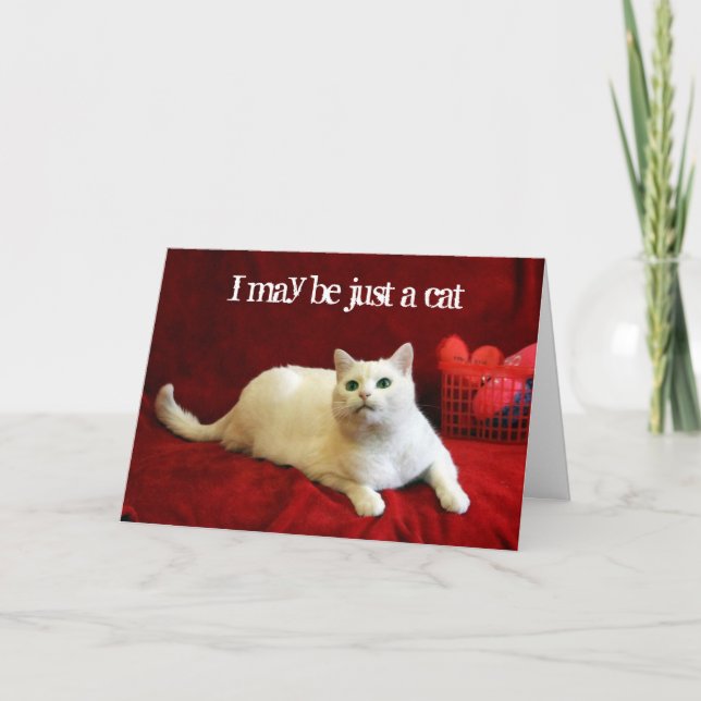 Valentine From the Cat Holiday Card (Front)