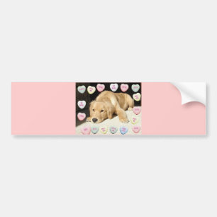 Valentine Golden Retriever Puppy Bumper Sticker