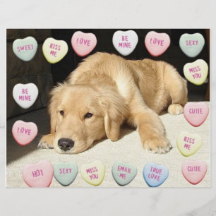 Valentine Golden Retriever Puppy Flyer
