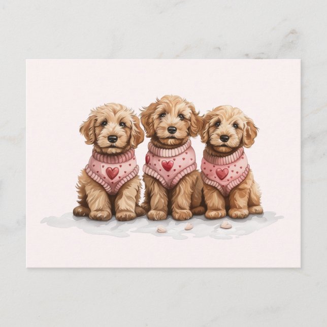 Valentine Goldendoodle Dogs Postcard (Front)