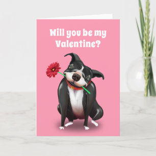 Valentine Greeting Cards Pit Bull Dog Lover