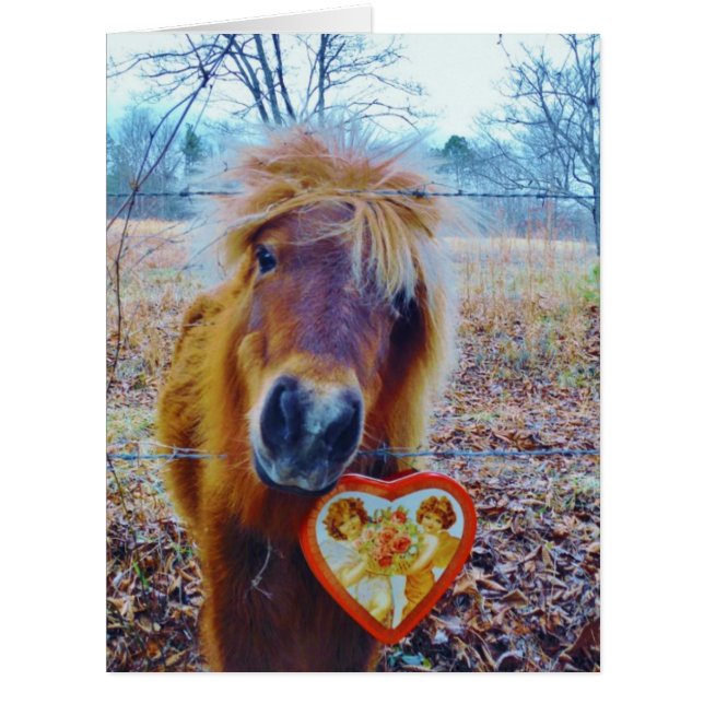Valentine Heart  Horse (Front)